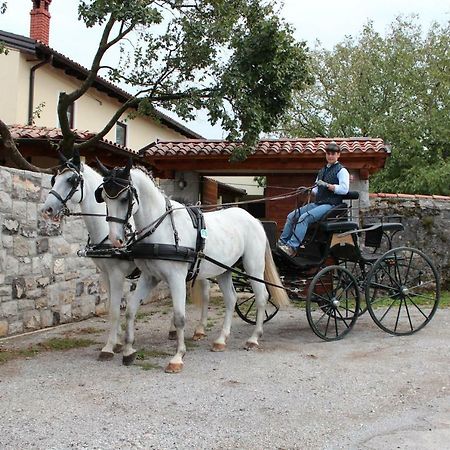 Country House Lokev Konuk evi Dış mekan fotoğraf