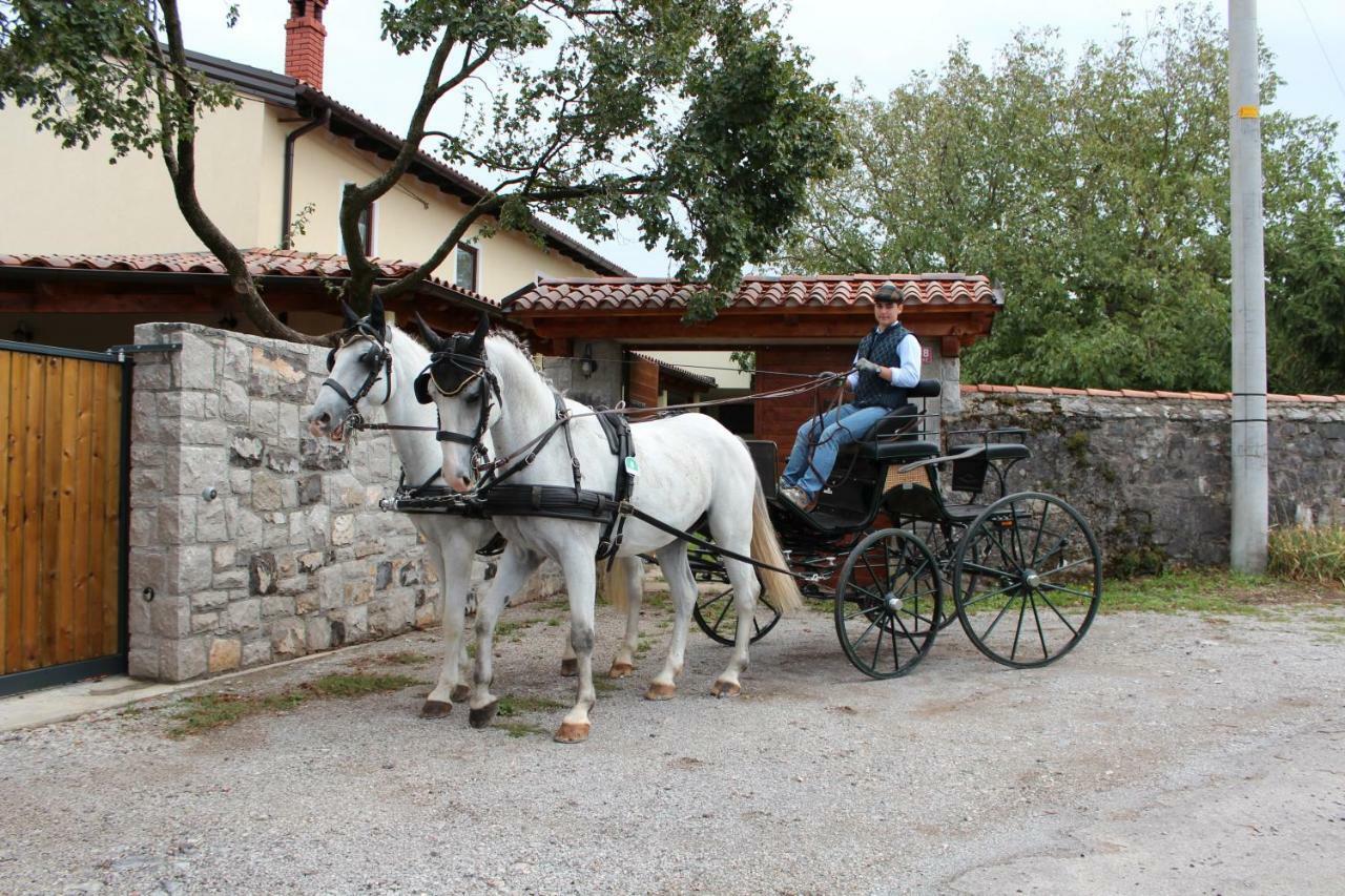 Country House Lokev Konuk evi Dış mekan fotoğraf